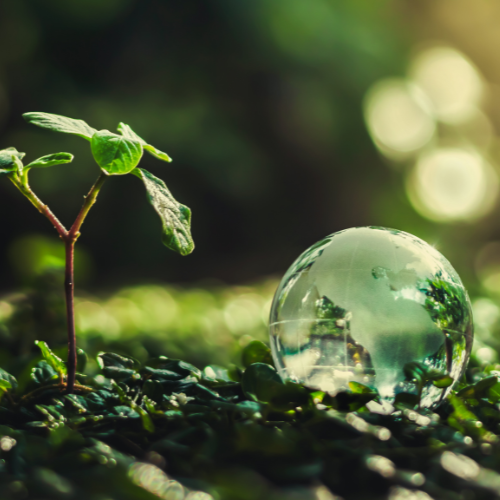 Innovation und Nachhaltigkeit